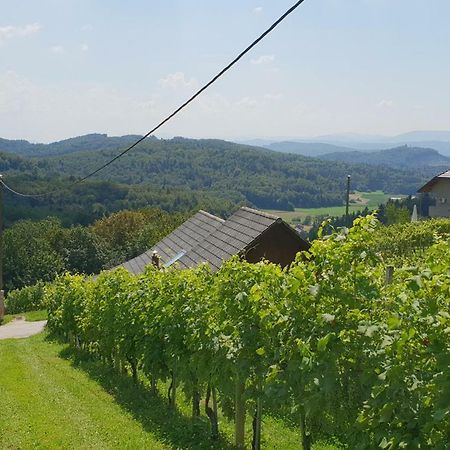 Zidanica Meglic - Vineyard Cottage Meglic Trebnje Kültér fotó