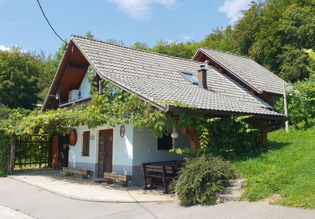 Zidanica Meglic - Vineyard Cottage Meglic Trebnje Kültér fotó