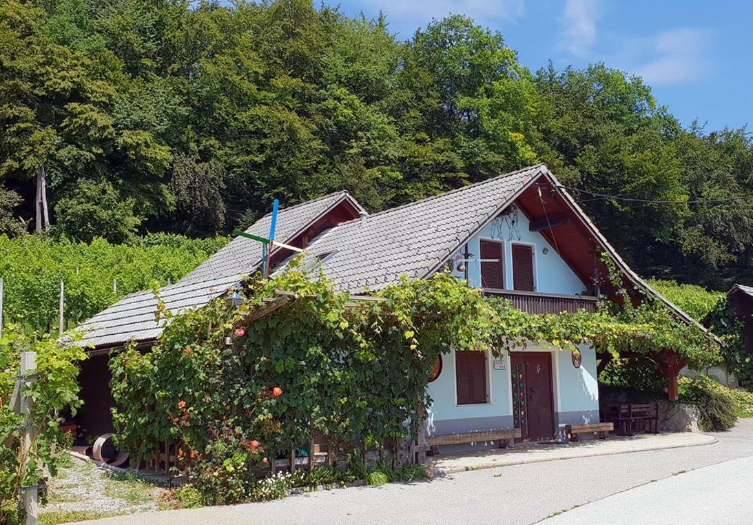 Zidanica Meglic - Vineyard Cottage Meglic Trebnje Kültér fotó