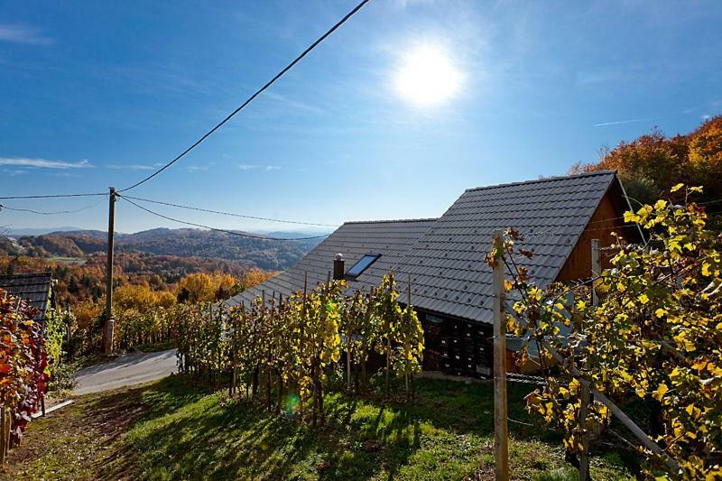 Zidanica Meglic - Vineyard Cottage Meglic Trebnje Kültér fotó